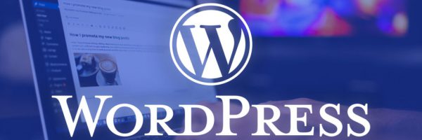 Looking-for-a-WordPress-Developer-1042x665