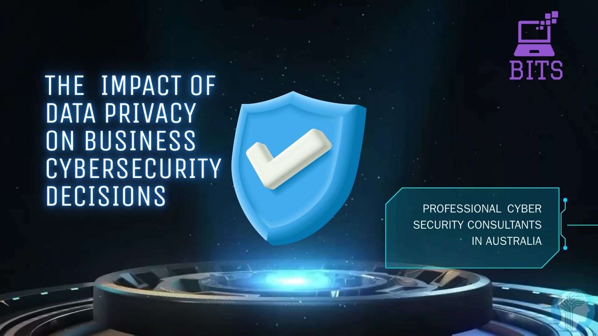The Impact of Data Privacy on Business Cybersecurity Decisions
